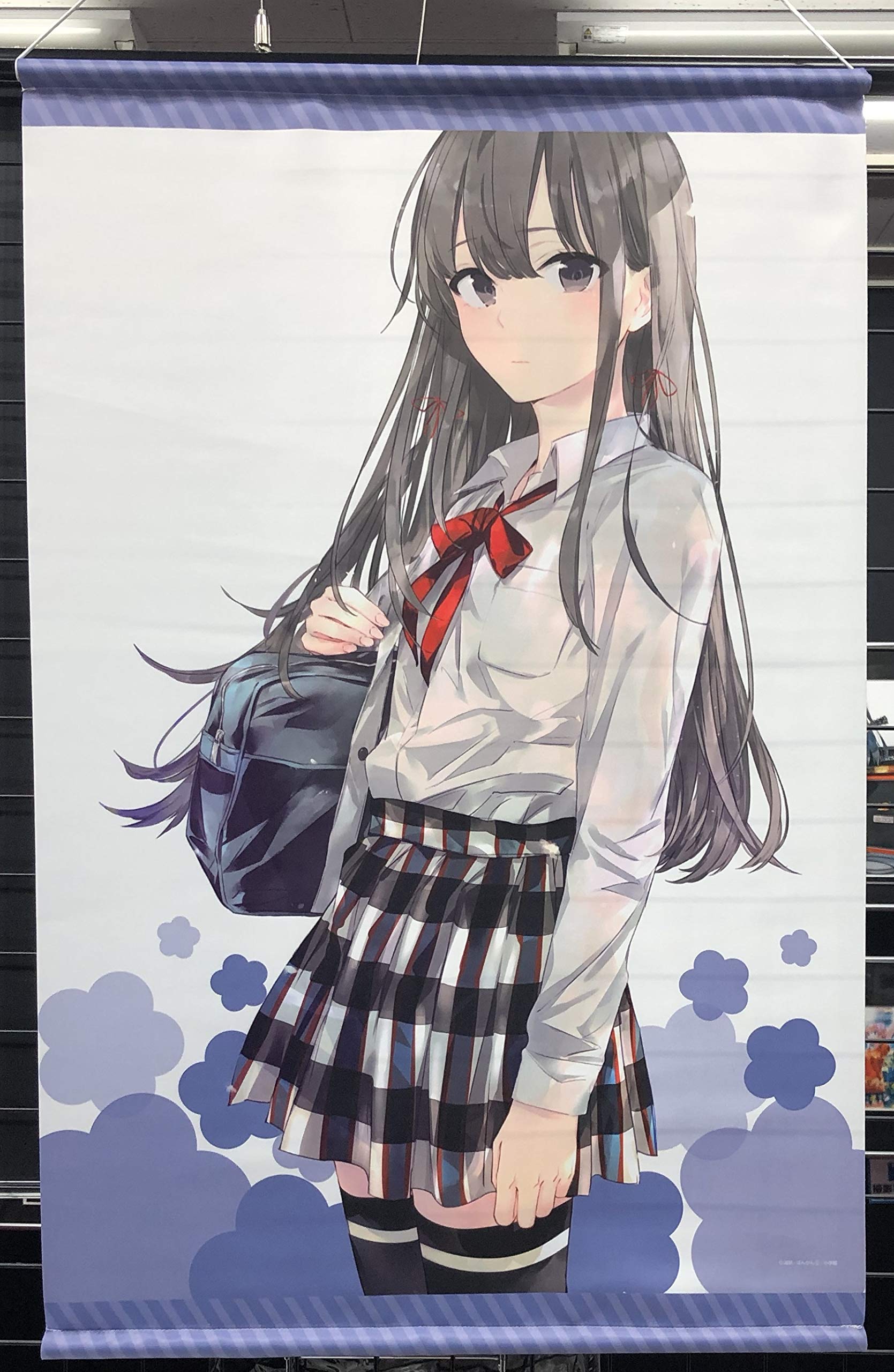 Amazon.co.jp: 「ぽんかん先生 やはり俺の青春ラブコメは