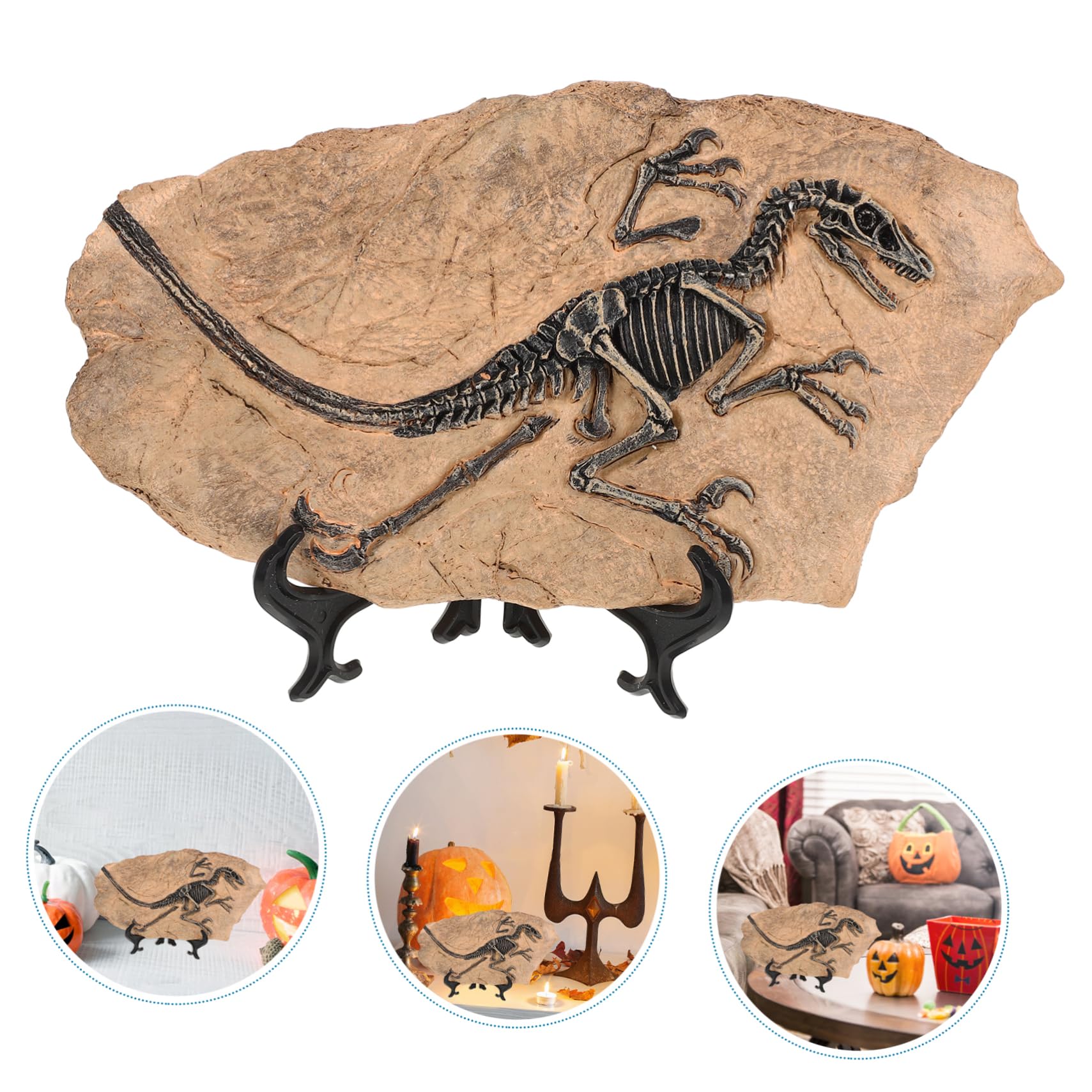 Set Di Ornamenti Fossili Di Dinosauro Di Fossili Di Dinosauro Decorazione Esemplare Per Casa Ufficio