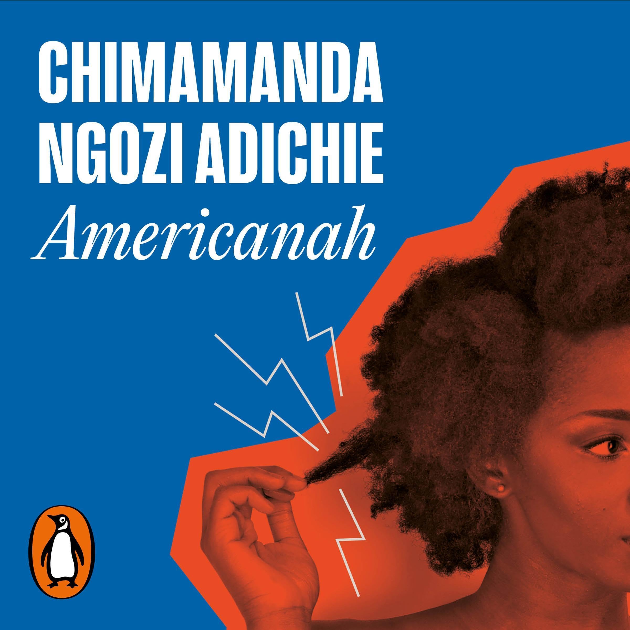 Americanah (Spanish Edition)