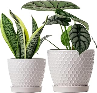 Docrin Ceramic Plant Pots Indoor, 6.6 + 5.5 Inch Flower Pots with Draina...