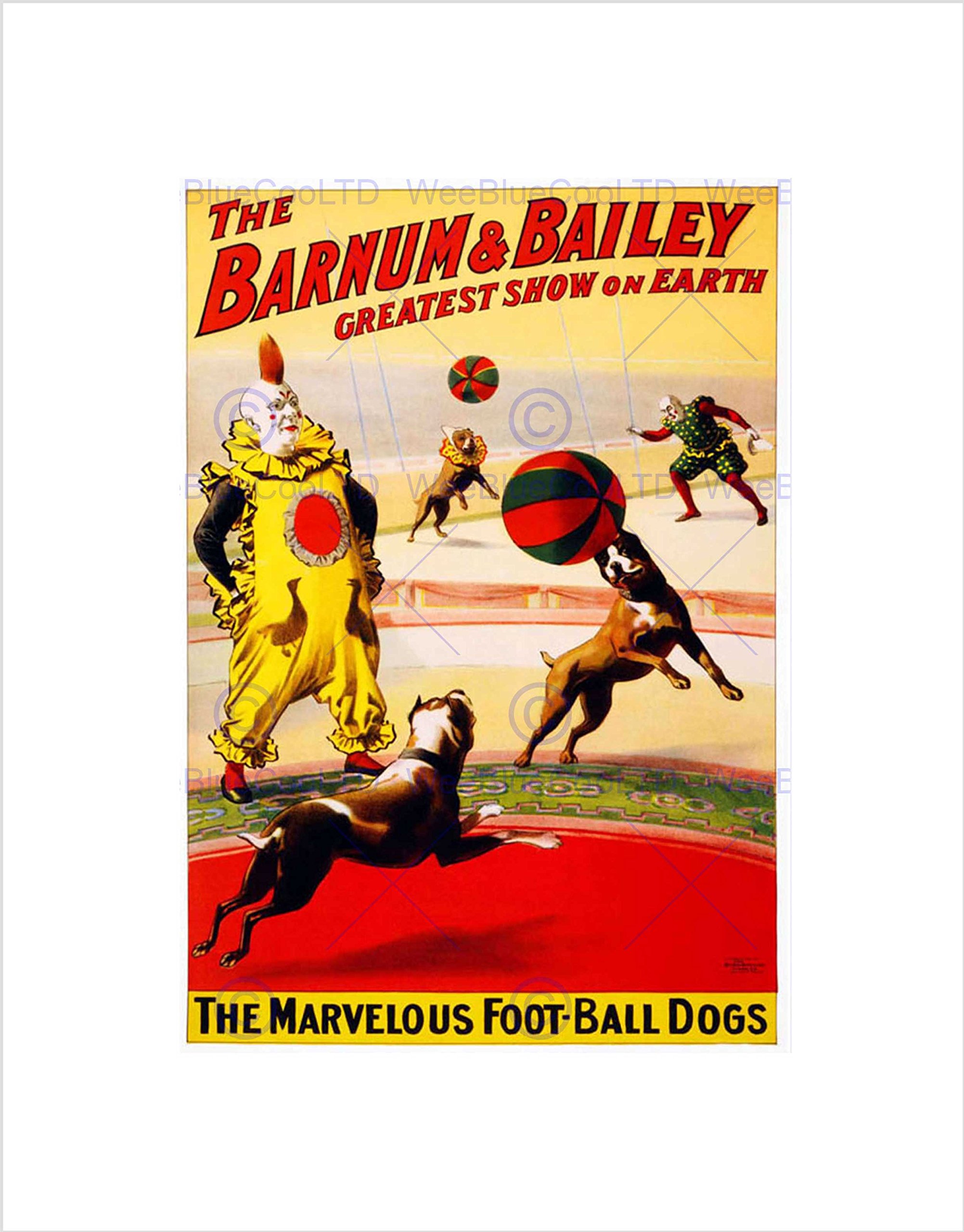 Wee Blue Coo VINTAGE ADVERT CIRCUS BARNUM BAILEY FOOTBALL DOGS FRAMED ART PRINT B12X3909