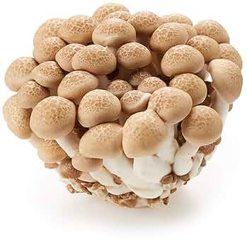 ぶなしめじ sm002.jpg