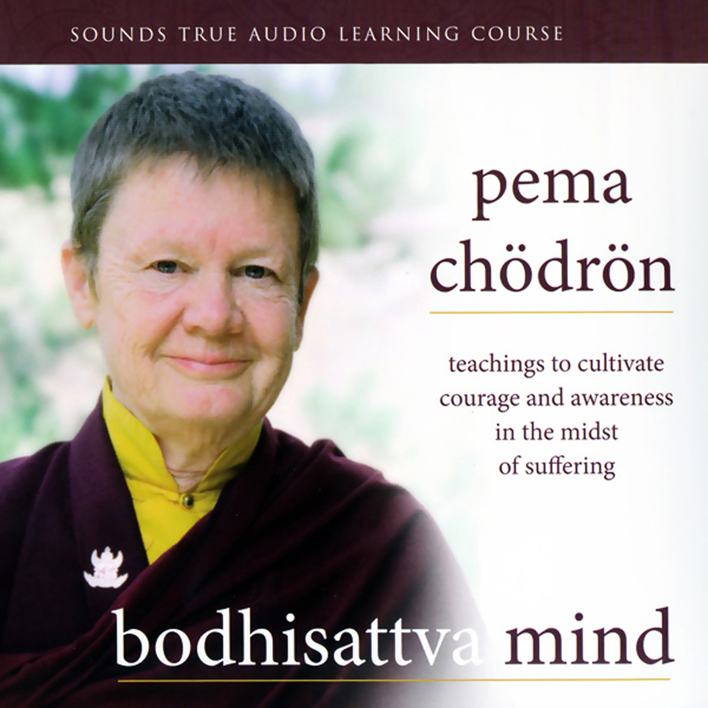 Cover art for Bodhisattva Mind