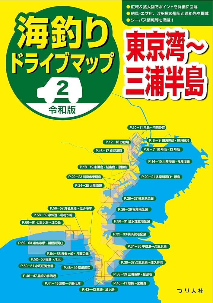 【初版】東京湾の釣り場　富津〜東京港〜久里浜/ひかりのくに 東京湾 爆釣 タチウオ 走水 中深場編 富津港 ひらの丸 〜爆釣の