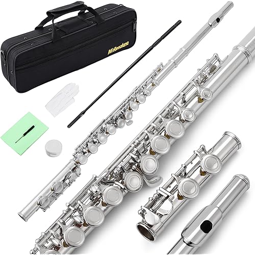 Closed Hole C Flute 16 Key for Beginner Student Nickel Flute with Carrying Case Stand Gloves Cleaning Cloth for School Band Instruments