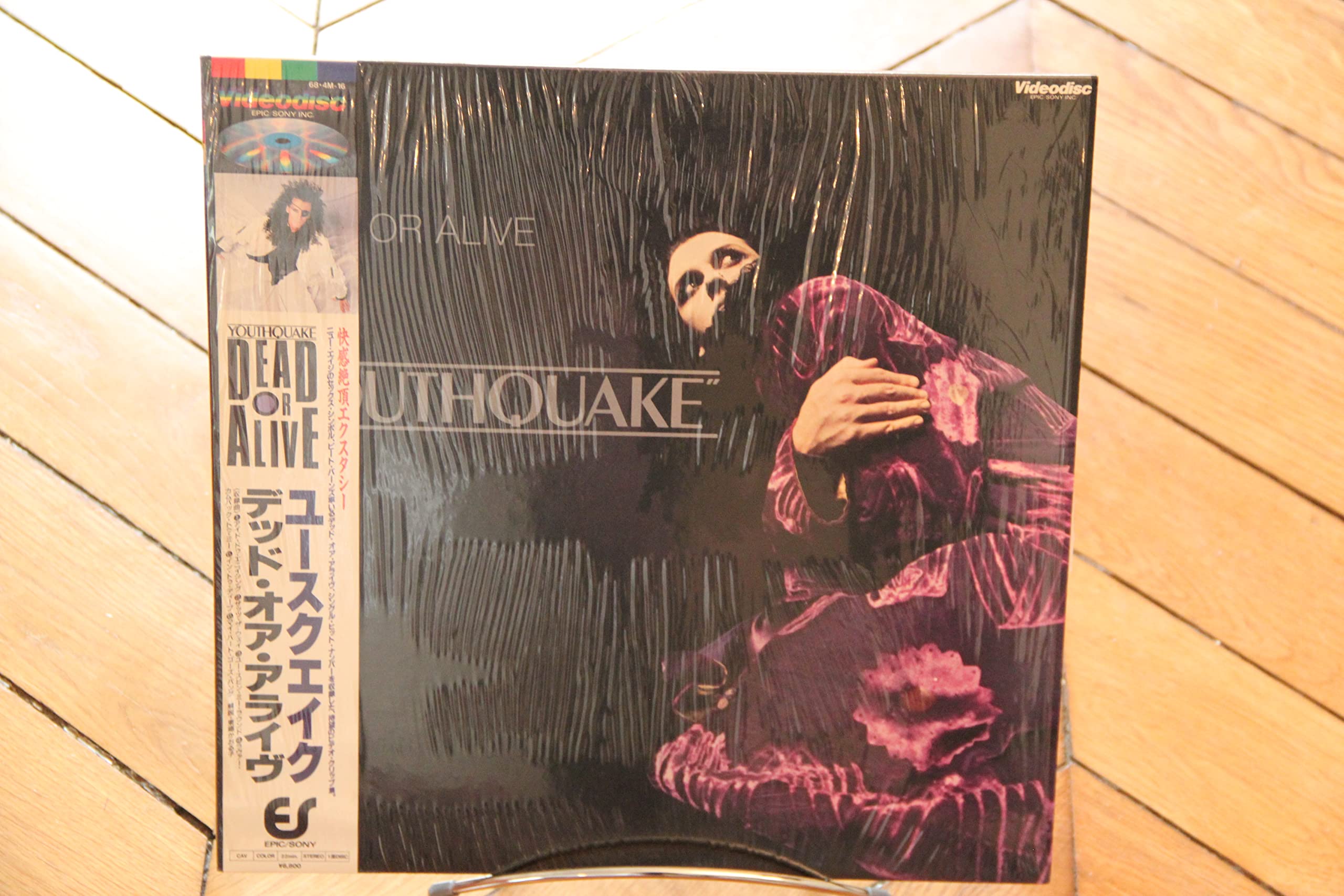 Dead or Alive: Youthquake The Laserdisc LD NTSC Japan Japan 68-4M-16