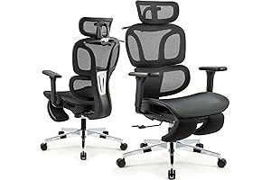 Ergotask Ergonomic Office Chair w/ Headrest