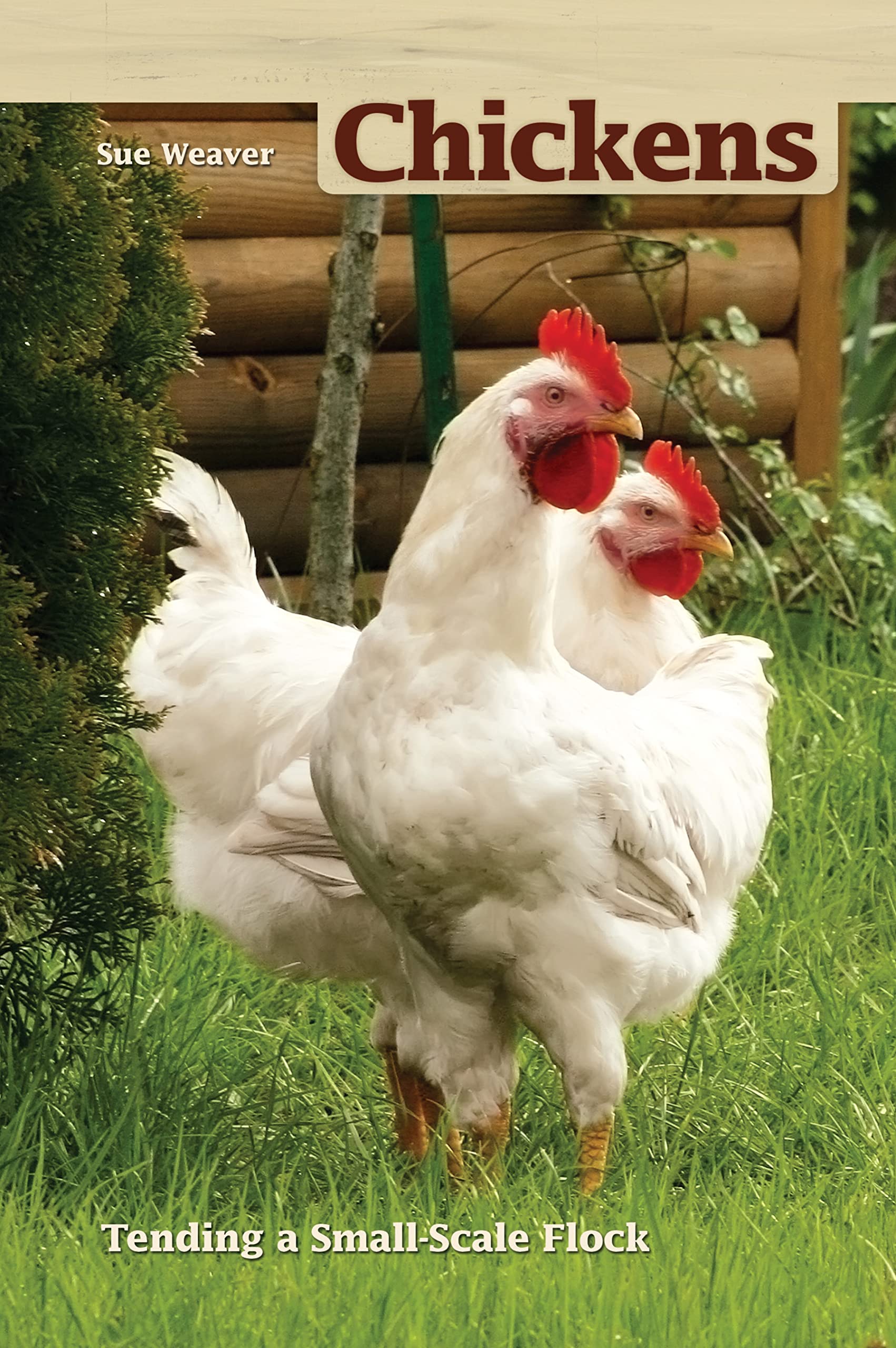 Chickens: Tending a Small-Scale Flock