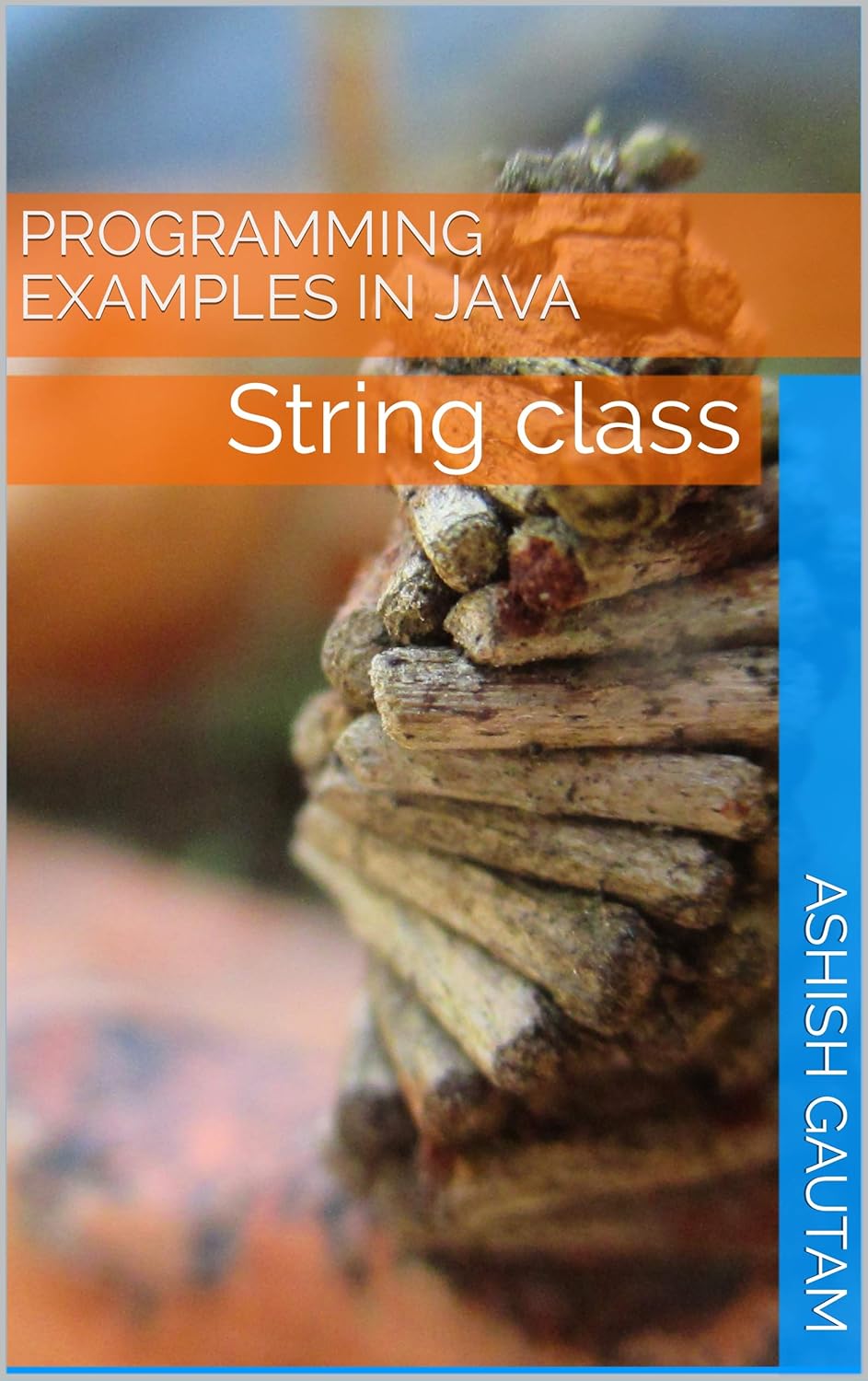 Amazon.com: programming Examples in java: String class eBook : Gautam ...