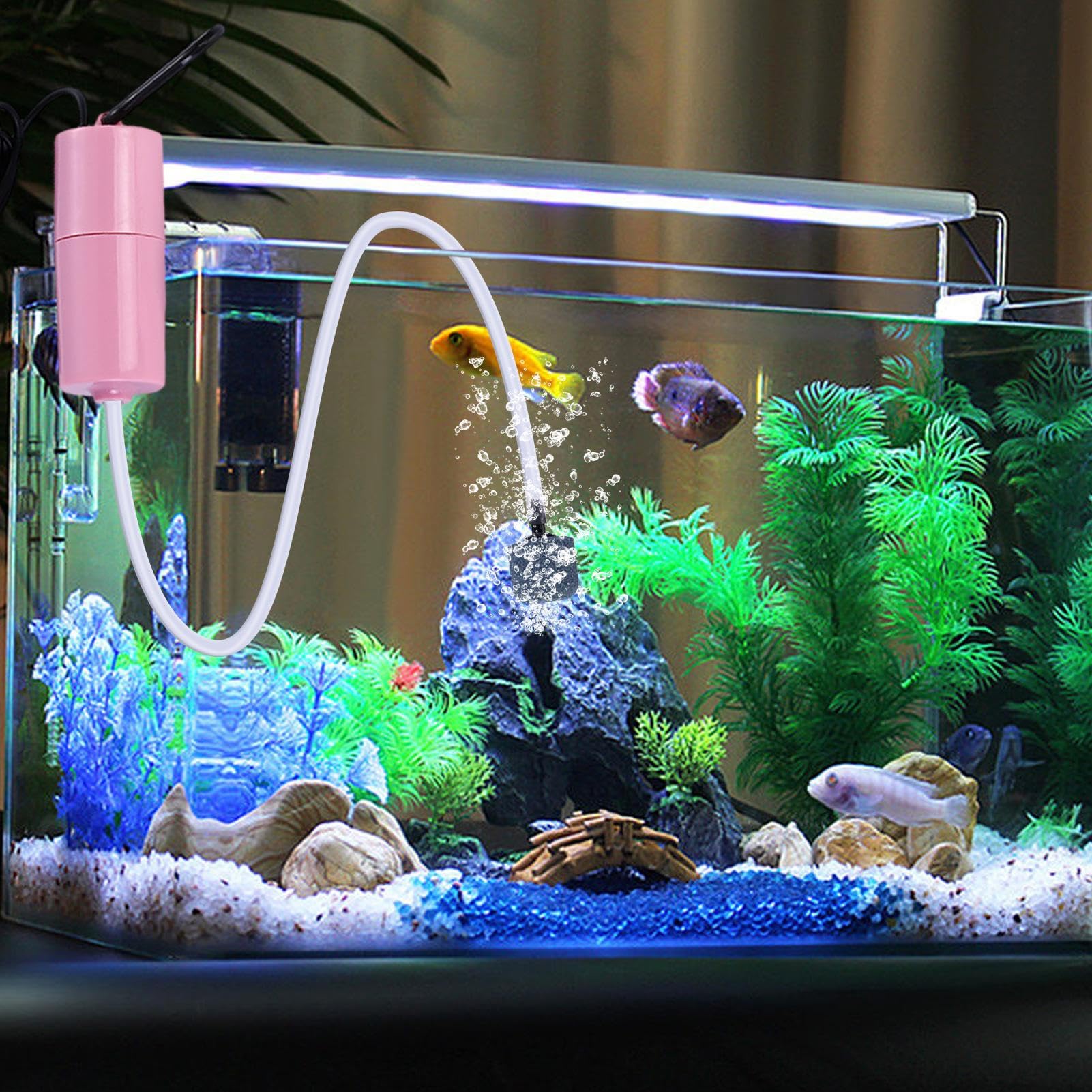 水槽　エアーポンプ　メダカ GEX メダカ元気 メダカを育てるフィルターセット 40cm以下水槽用