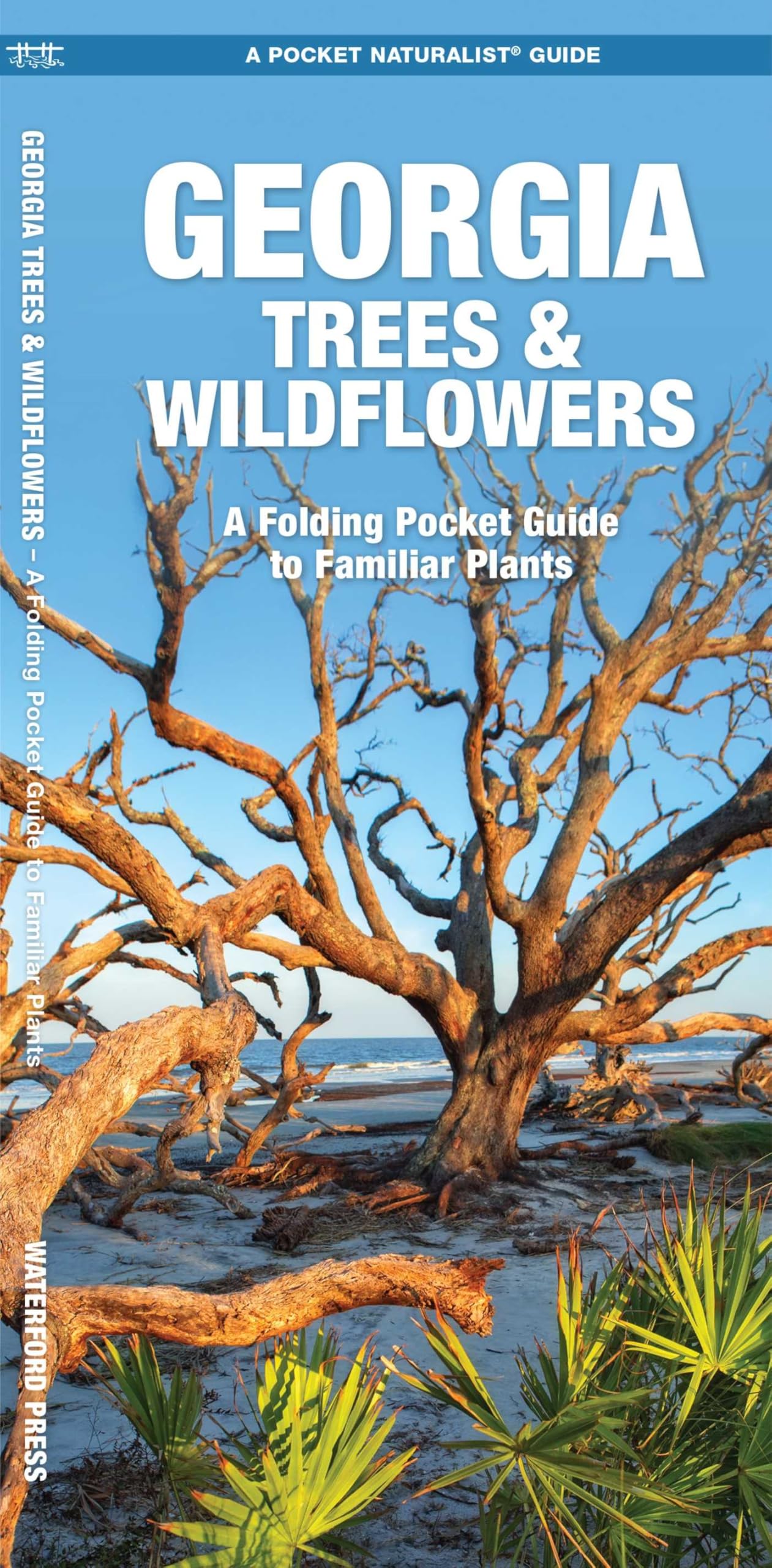 Georgia Trees & Wildflowers (Nature Observation North America)