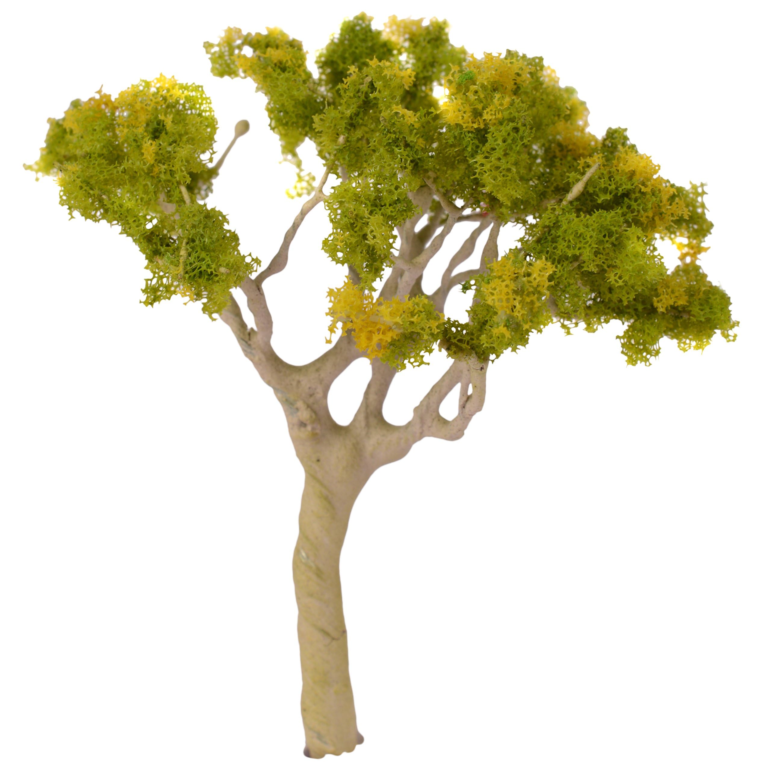 MJMODELS Architectural Miniature Tree (40 mm, Pack of 10) - Image 5 thumbnail
