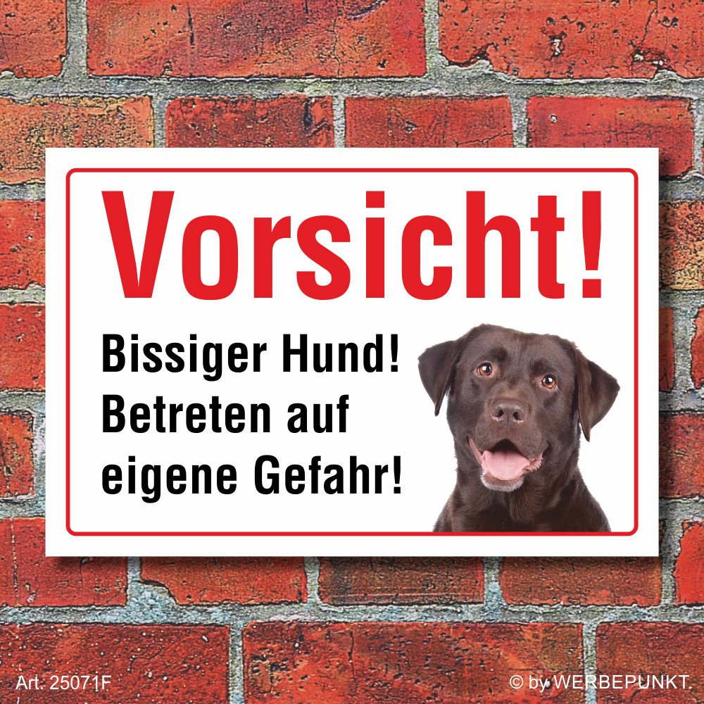 Schild Vorsicht Bissig Labrador Hund Motiv 1 600 x 400 mm