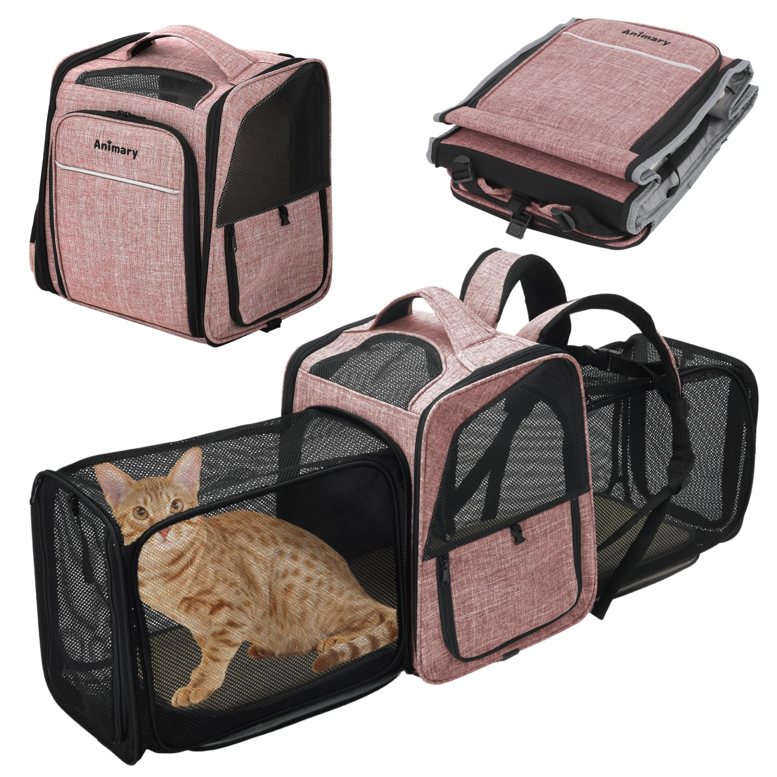 Amazon | Animary猫 キャリーバッグ 犬 キャリーバッグ 猫 キャリー