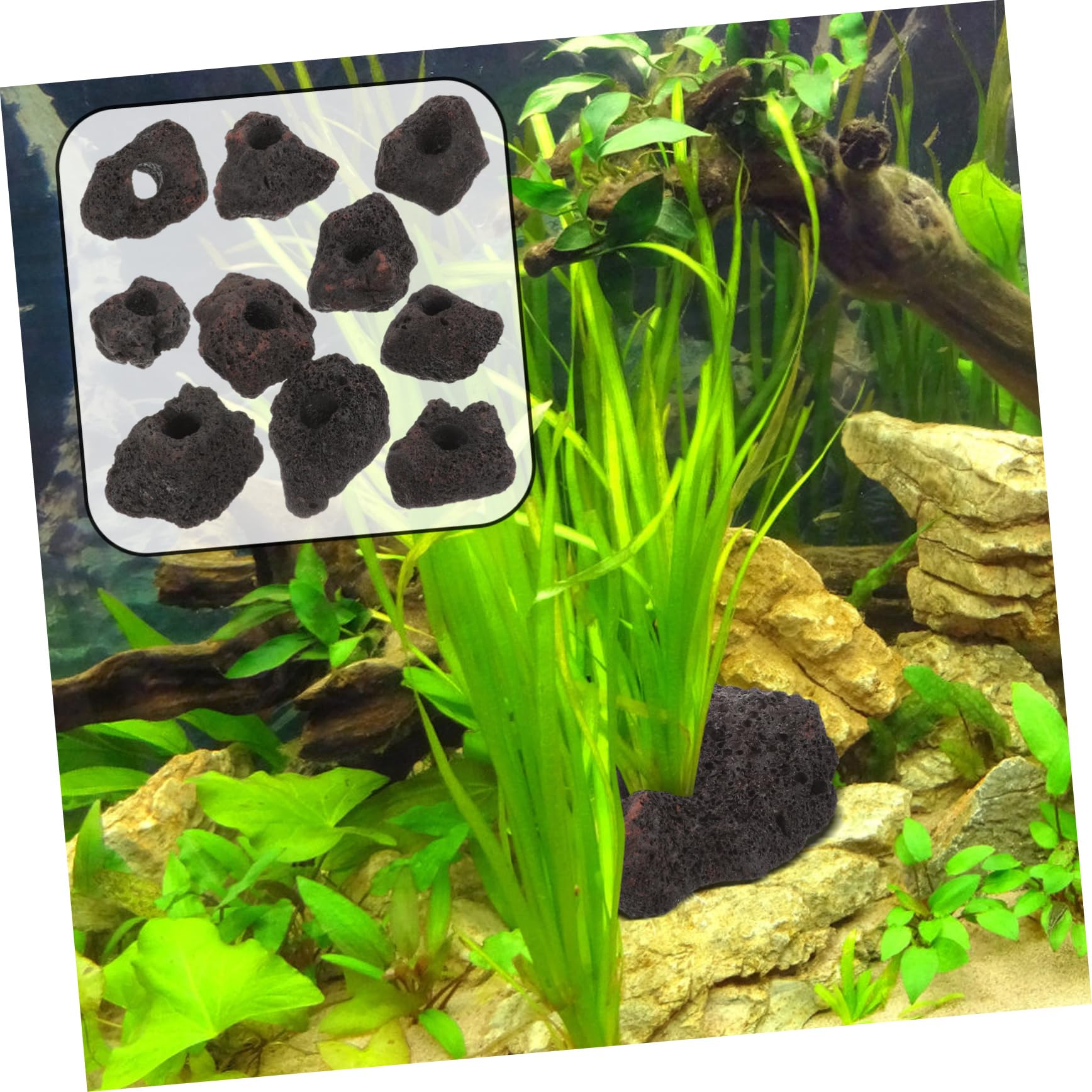 YARNOW 10 Anillos Fijación Volcanicas Acuario Pecera Soporte Plantas Decoración