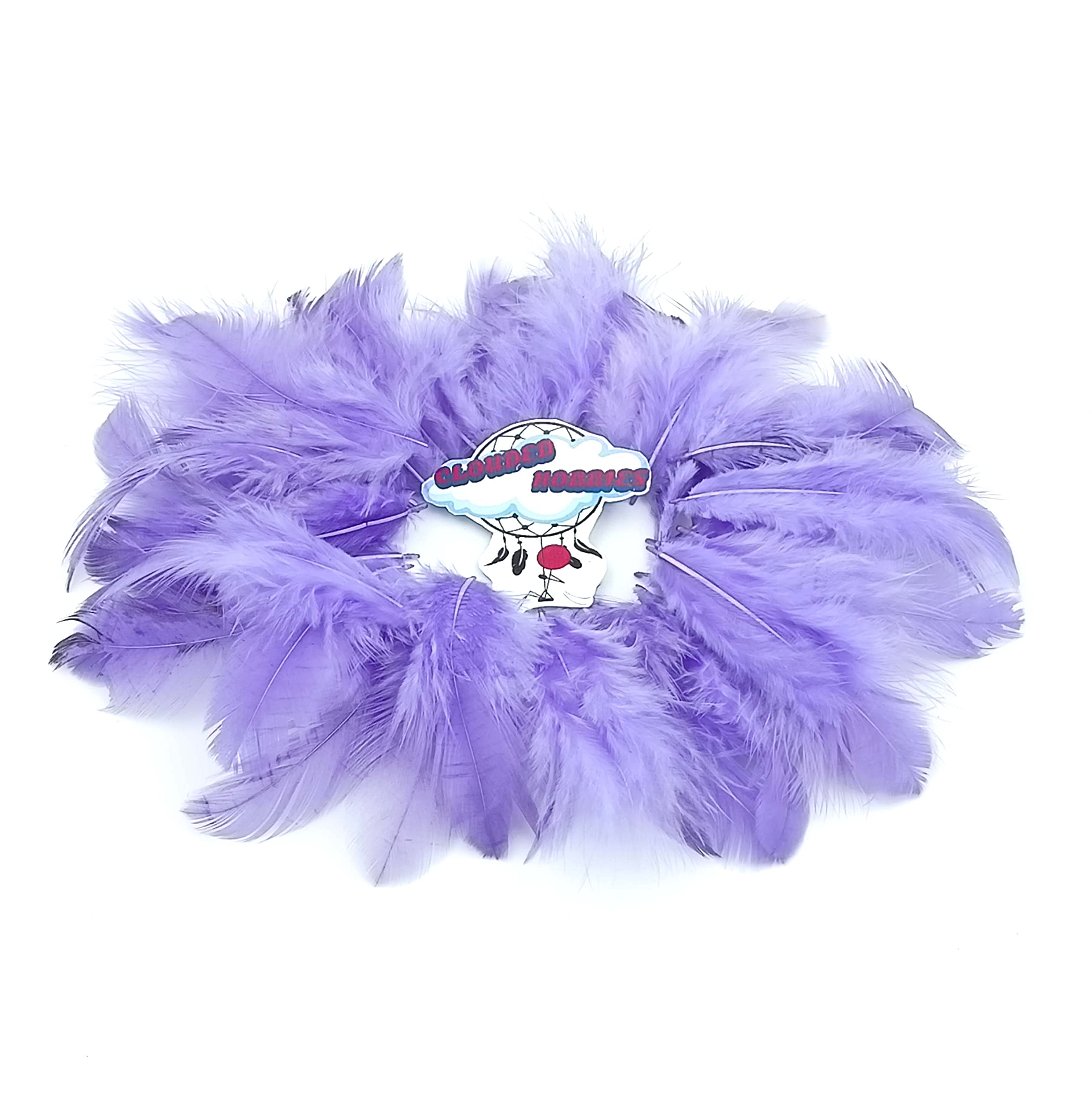 CLOUDED HOBBIES Colour Feather Pack of 100 Pieces for Craft Decor DIY 3 INCH (+/-) Long (Small Soft, Purple)