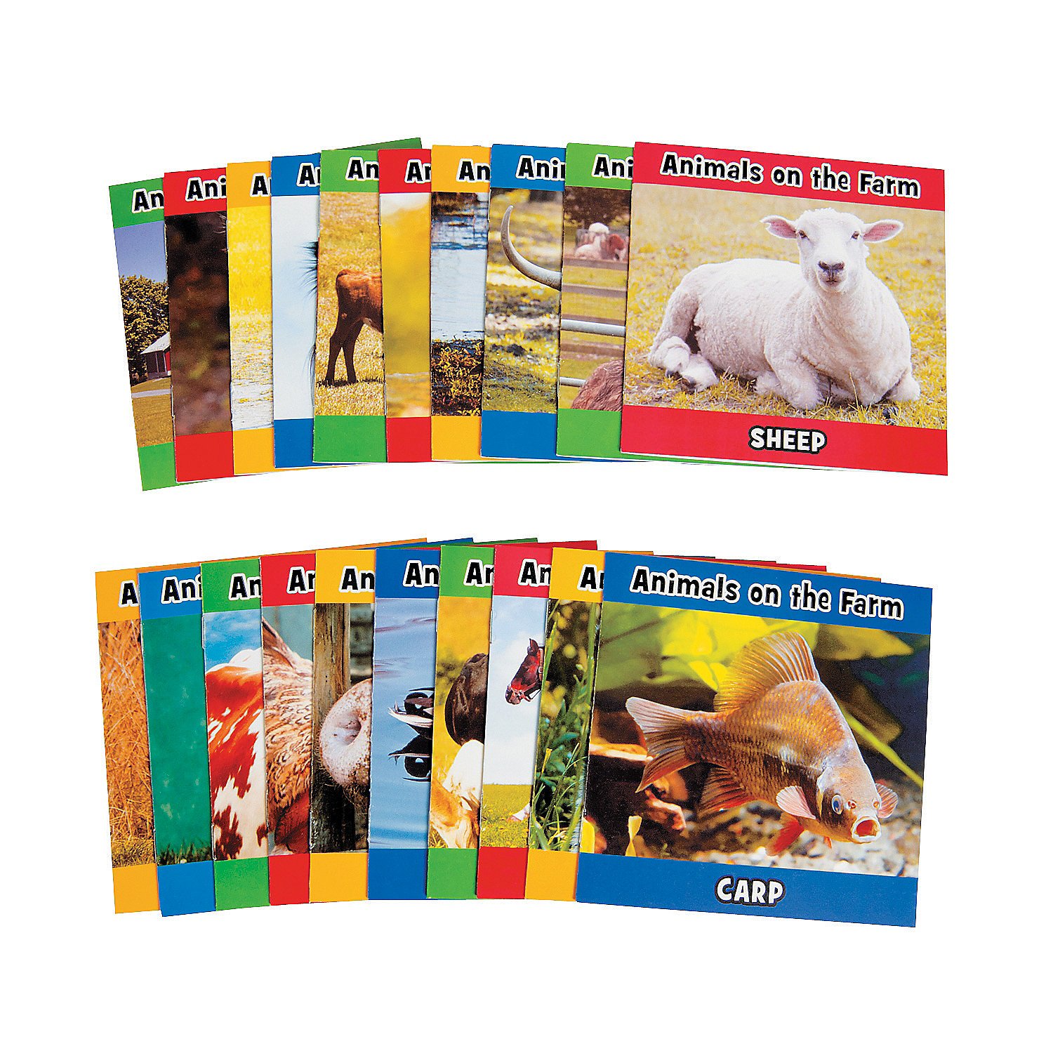 Fun Express Farm Animal Readers (20Pc) - Educational and Learning Activities for Kids - VBS Vacation Bible School Supplies/Decor - 20 Pieces