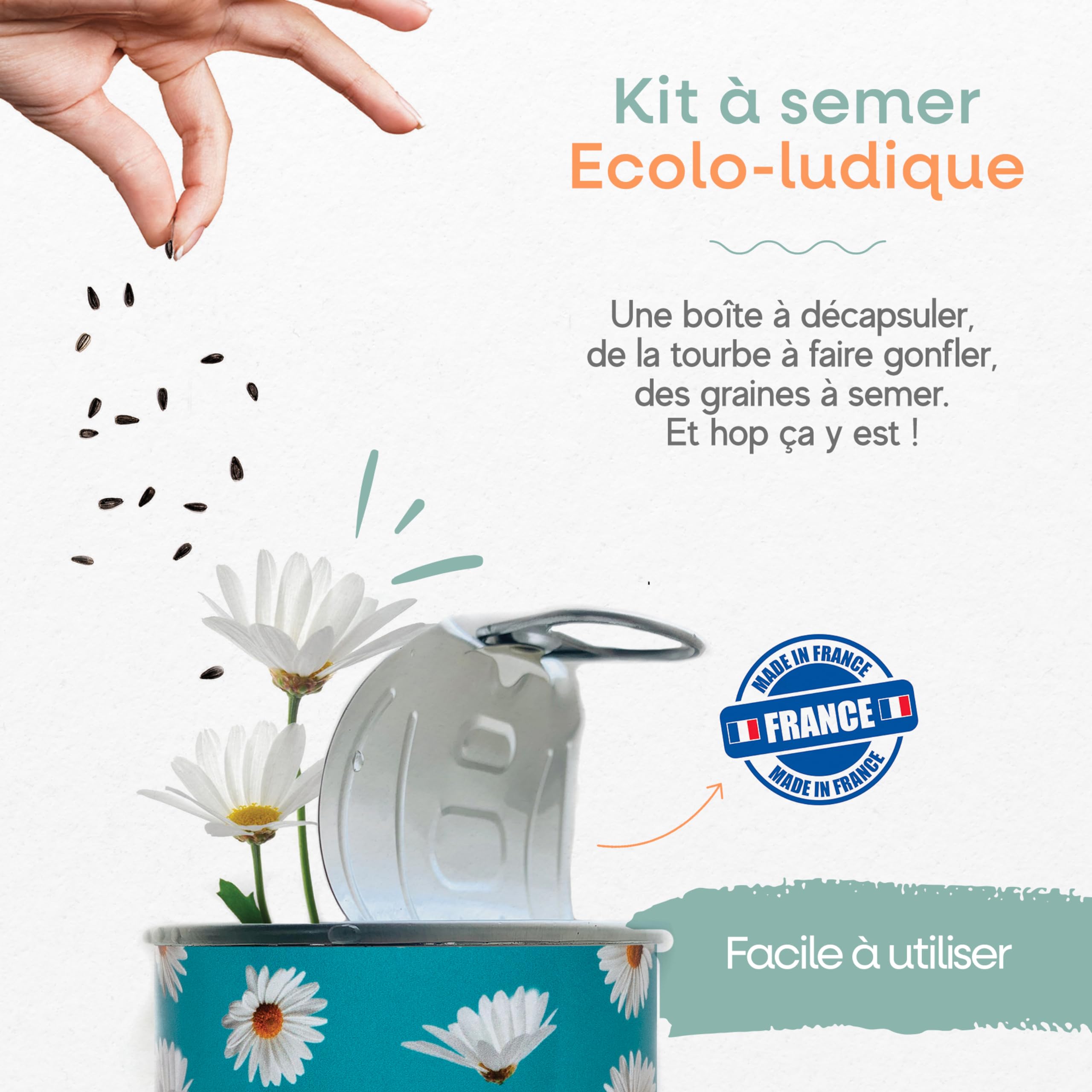 Mauvaises Graines© - Kit de Graines de Fraises des Bois à Semer - Idée Cadeau Original Femme Homme Amis Famille Anniversaire Collegue Fêtes - Ultra Simple à Utiliser - 100% Fabriqué en France - 4