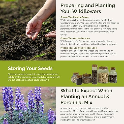 Miniatura 5 de Eden Brothers North American - Semillas mixtas de flores silvestres nativas para plantar, 14 libras, más de 120,000 semillas con ojos de pájaro,