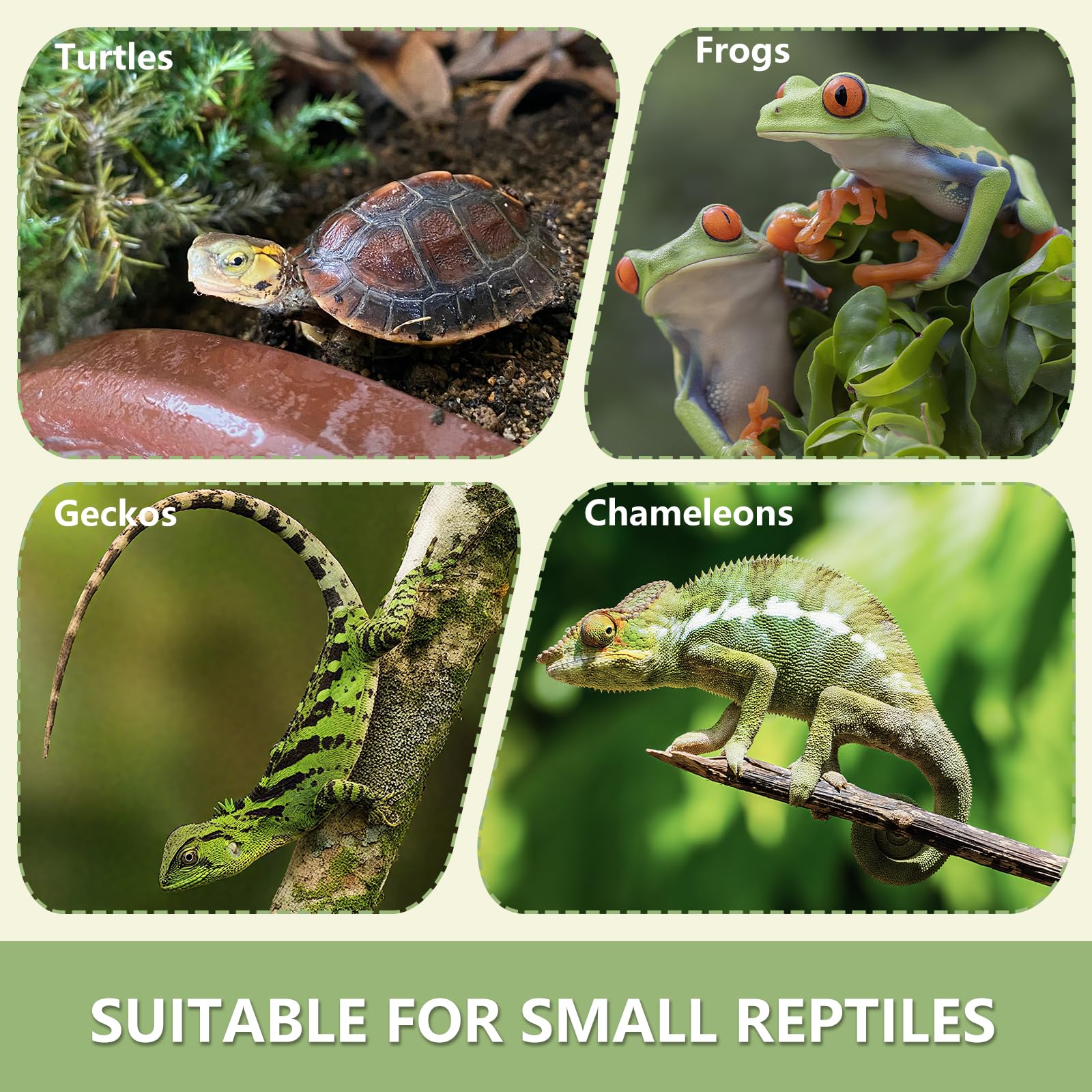 Bol d'eau Terrarium Accessoire, Gamelle Tortue Terrestre, Mangeoire Portable pour Reptiles 11x8x1cm Jaune