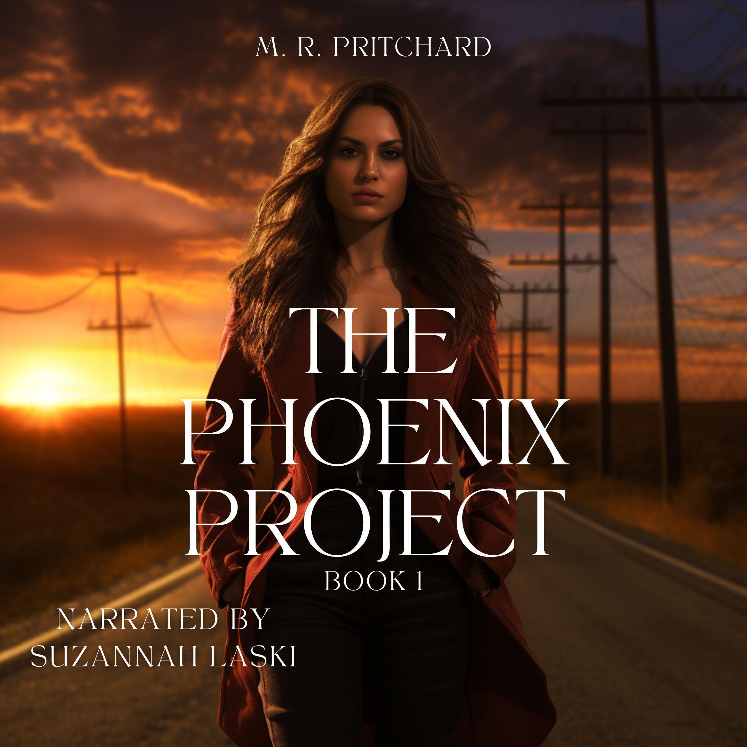 Cover art for The Phoenix Project
