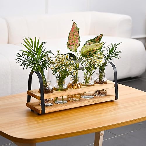 Miniatura 3 de Estaciones de propagación de plantas con soporte de madera, terrario de plantas de escritorio para propagación hidropónica, florero para decoración