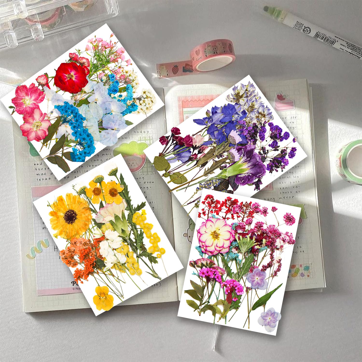 148 Fleurs Pressées Et Autocollants YoothBro - DIY Déco, Bijoux, Scrapbooking - Naturel