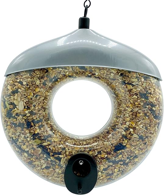 Rounded Wild Garden Bird Seed Feeder for Outdoor Hanging with Metal Chain Hanger - Grey Metal Roof with Plastic Seed Hopper - Stylish Round Circular Doughnut design