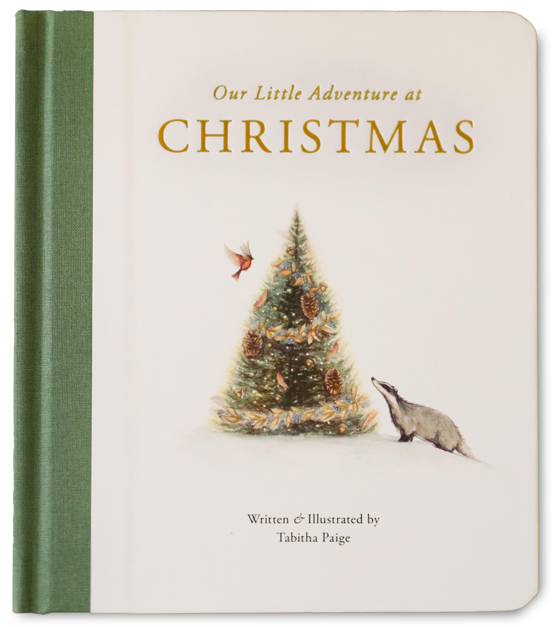Our Little Adventure at Christmas: Featuring Foundational Language