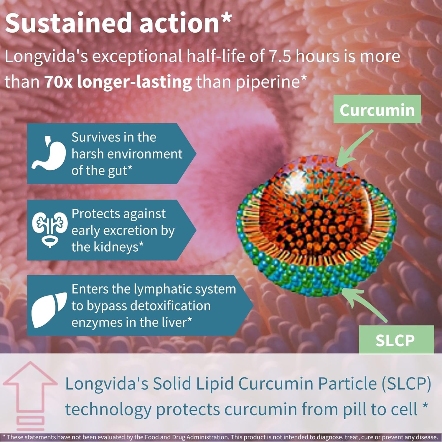 Igennus Longvida Lipidated Curcumin 500mg, Ultra Bioavailable & Sustained Action, 65x Higher Plasma Levels, Intensive Support, Free-Form Curcumin, Vegan, 30 Capsules - Image 5