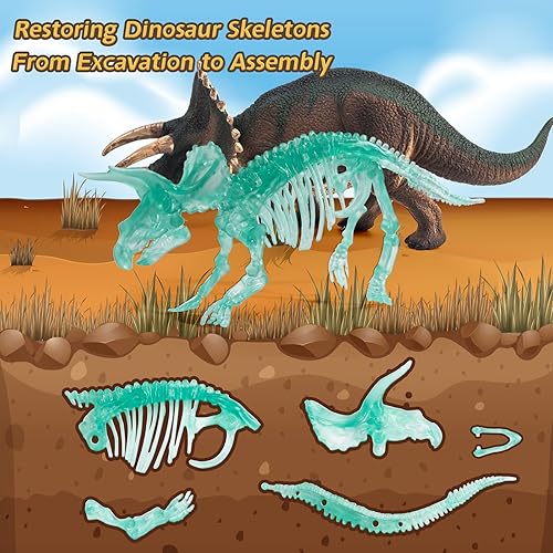 Miniatura 4 de KidEwan - Kit de fósiles de excavación de dinosaurios para niños, kits de excavación de dinosaurios para niños, kits educativos de ciencia para