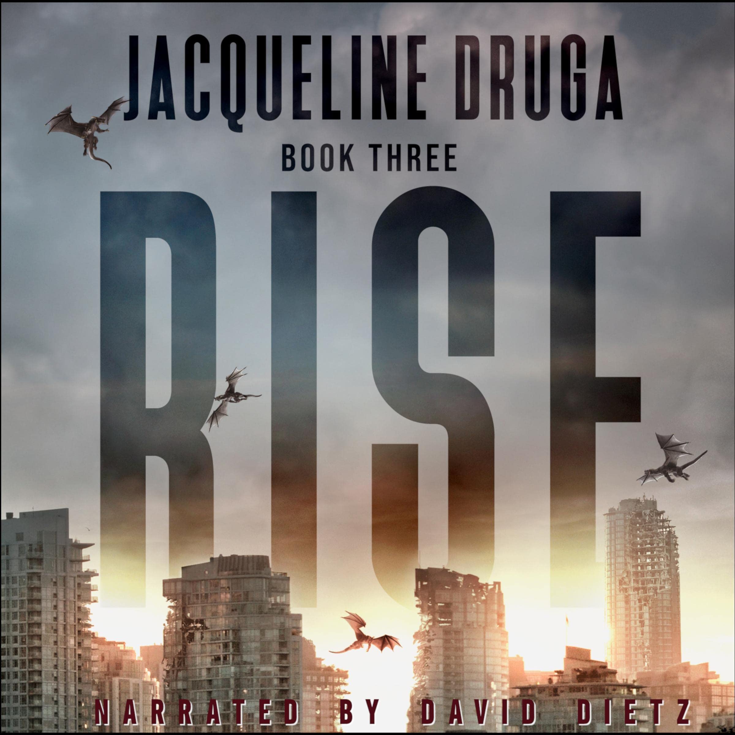 Cover art for Rise: Rise Series, Book 3