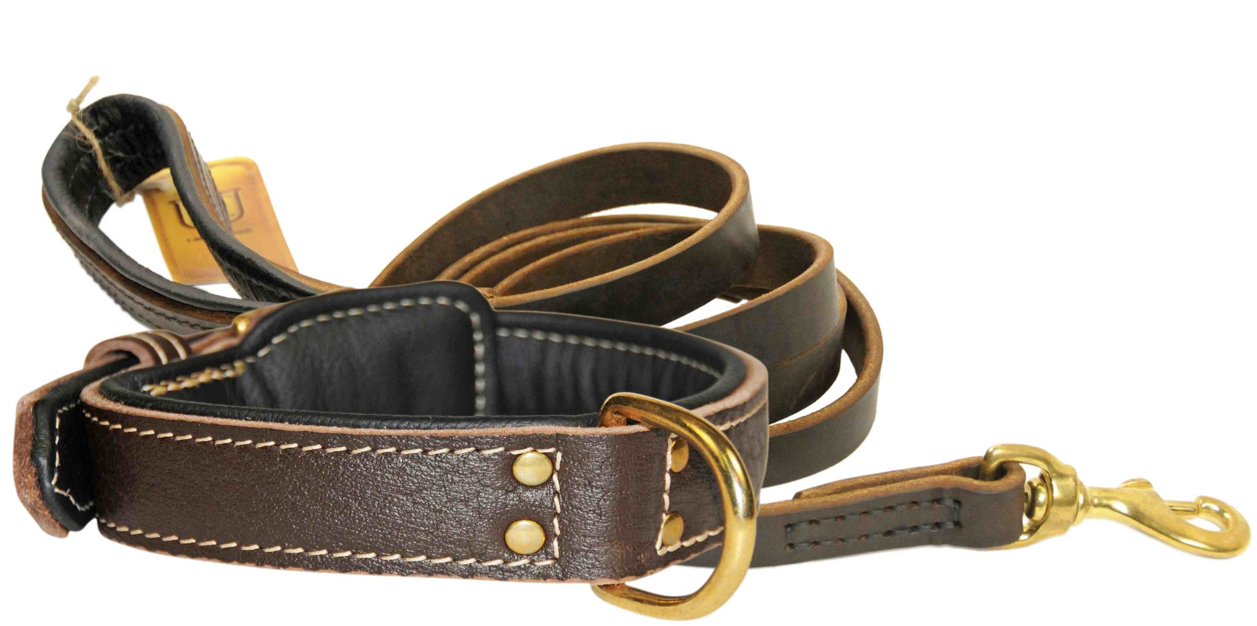 Ensemble de luxe en cuir italien pour grand chien Dean et Tyler