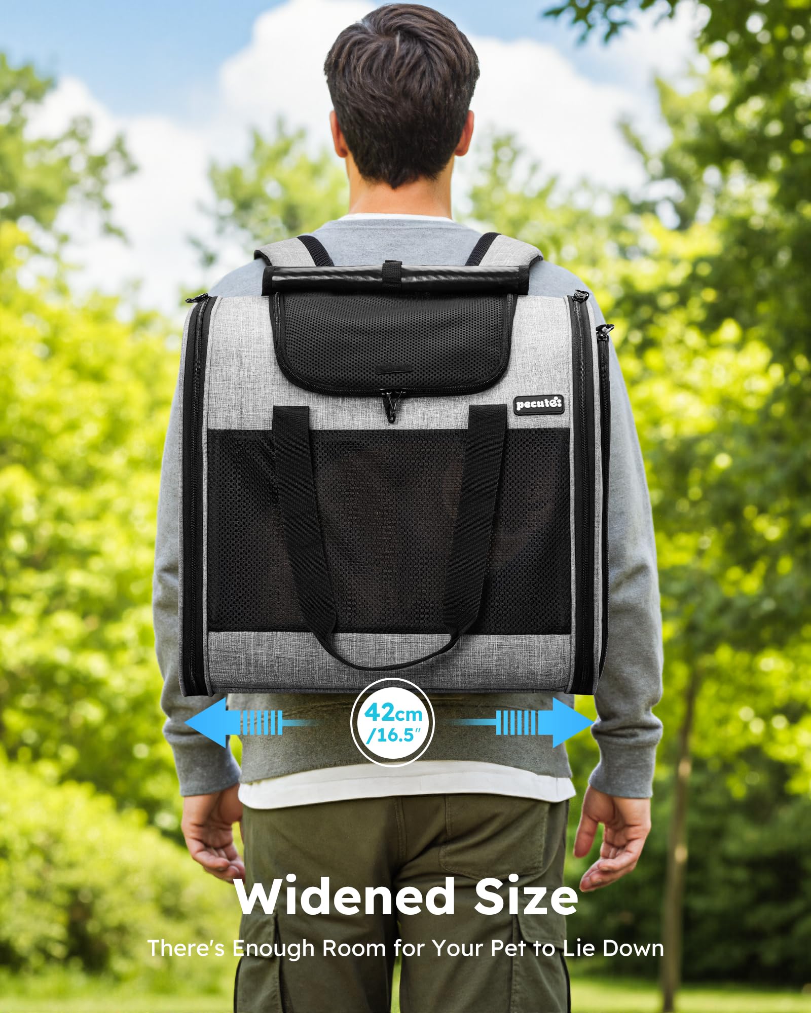 pecute Mochila transportadora para Gatos con diseño ventilado, Mochila Plegable para Mascotas para Gatos y Perros, Mochila para Perros con Correa de Seguridad