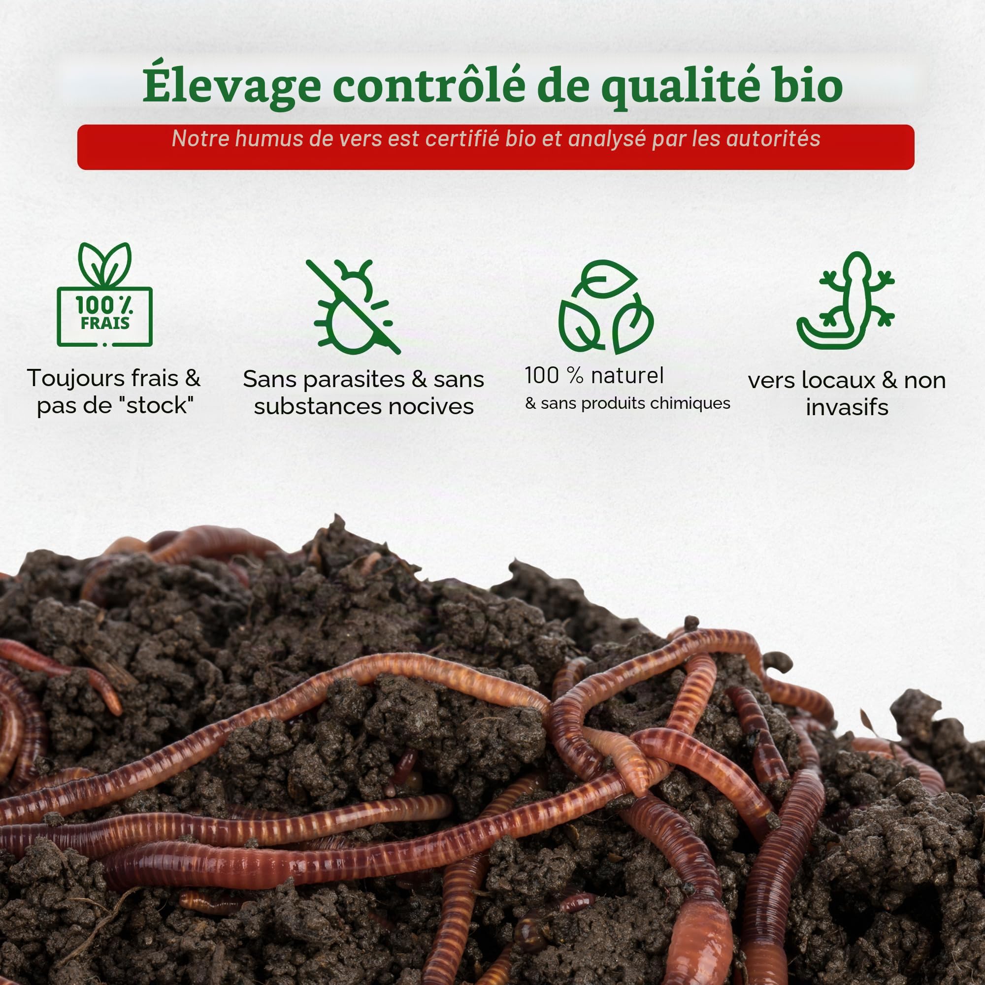 0,5 kg compost worms (min. 500 pieces) garden earth