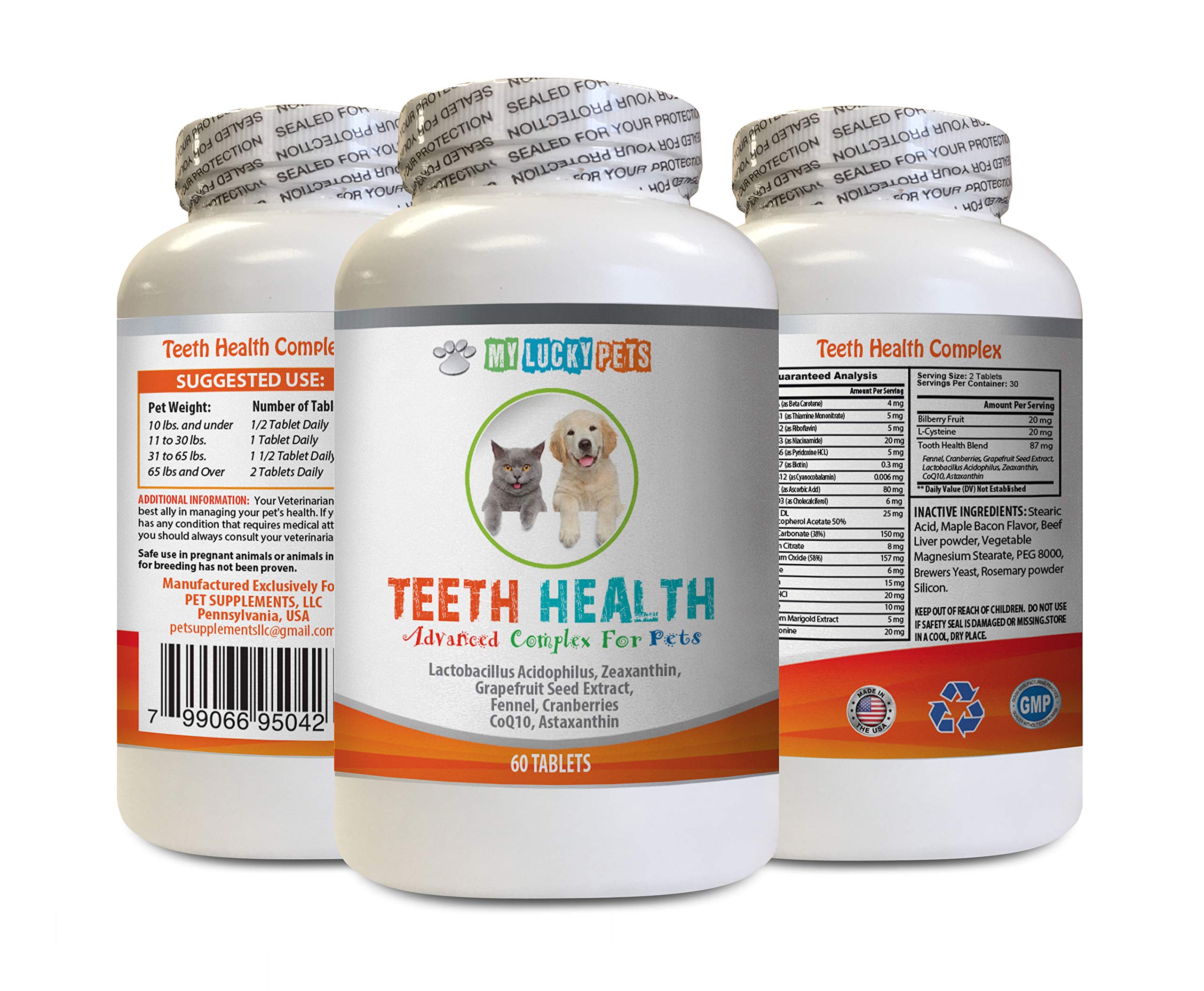 MY LUCKY PETS LLC Dog Teeth Cleaning Treats - PET Teeth Health AID - Dogs and Cats - Immune Boost - Gum and Oral Care - coq10 for Dog - 1 Bottle (60 Tablets)