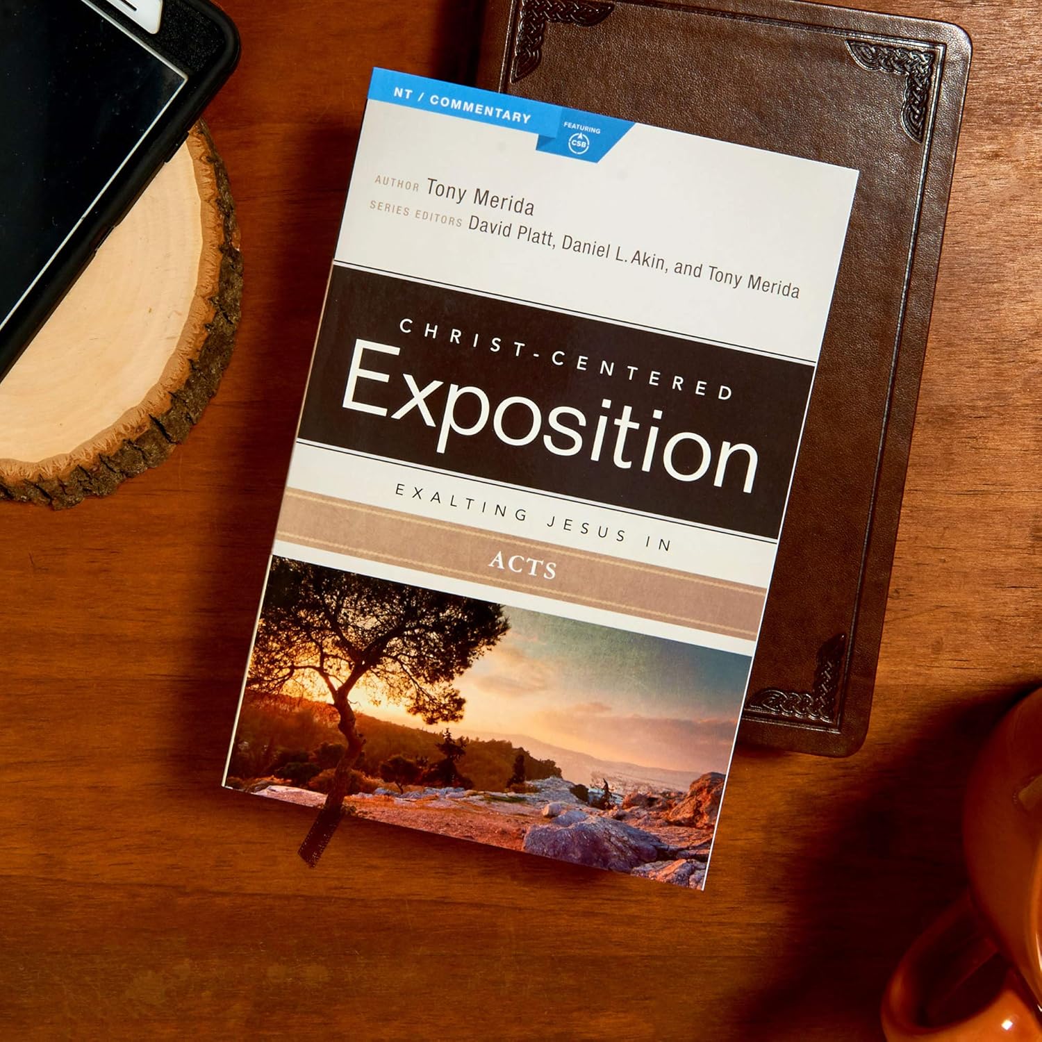 Exalting Jesus in Acts (Christ-Centered Exposition Commentary) - Image 4