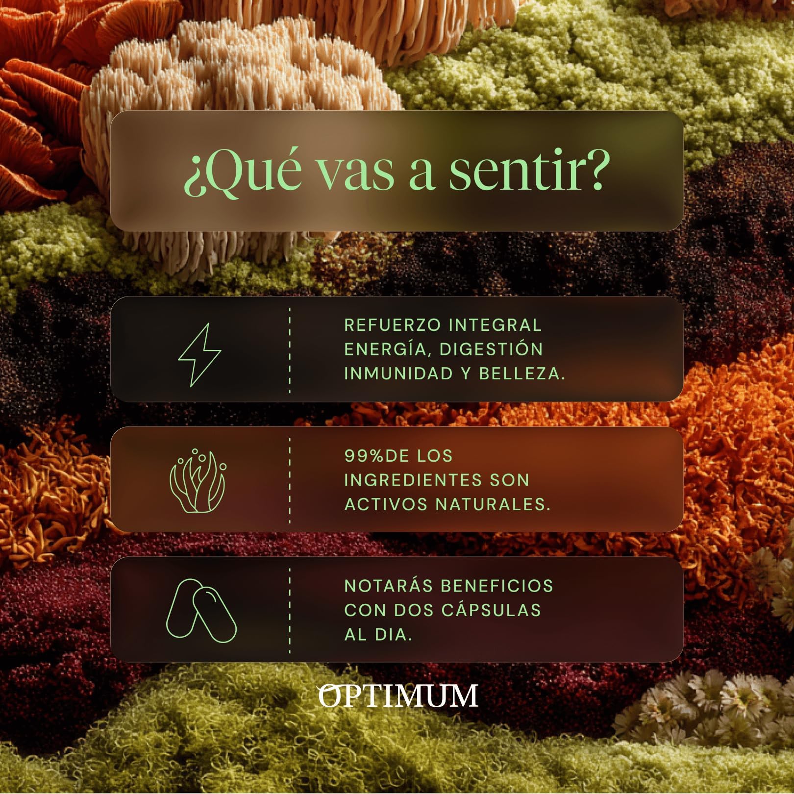 HIFAS DA TERRA - Suplemento Nutricosmética Optimum Health con Extracto de Hongos: Cordyceps, Reishi, Melena de León. Welcome Pack con Botella Reutilizable + 60 Cápsulas. Belleza, Energía y Bienestar