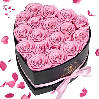 17pcs Rose Eternelle Touloube - Valentines Day Gift for Women - Eternal Flower Present in Heart-Shaped Box, Rose Valentine's Day Present for Women, Christmas Gifts for Her, Mom, Sister, Mother