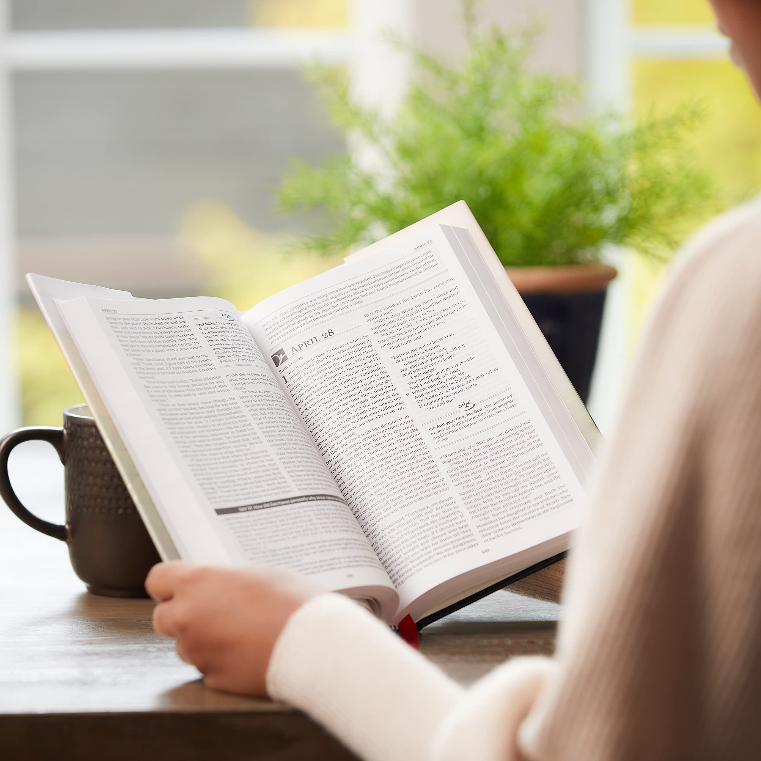 The NKJV, MacArthur Daily Bible, 2nd Edition, Hardcover, Comfort Print: A Journey Through God's Word in One Year - Image 3