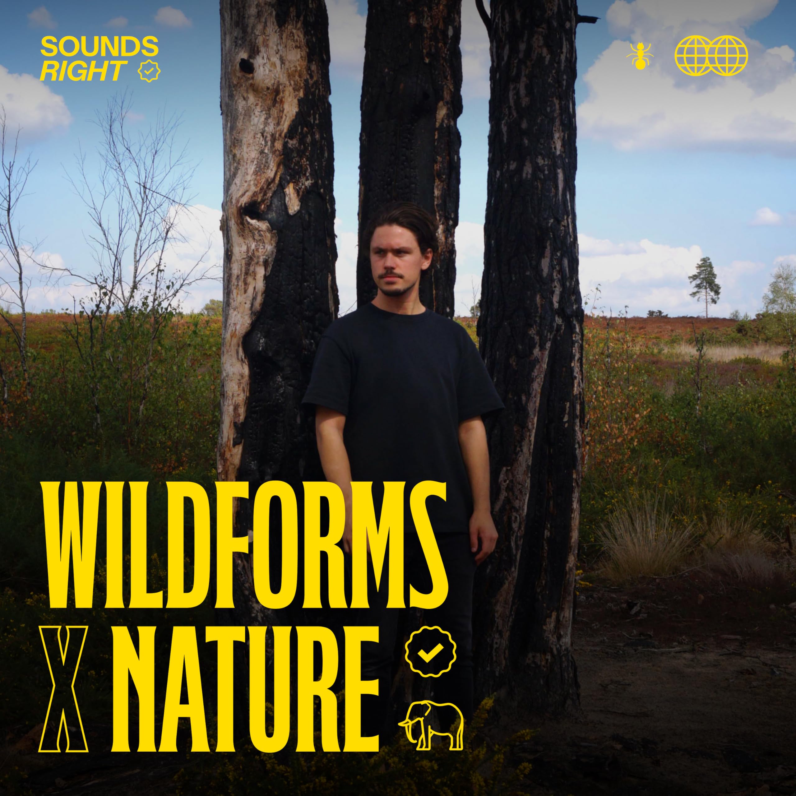 Wildforms
