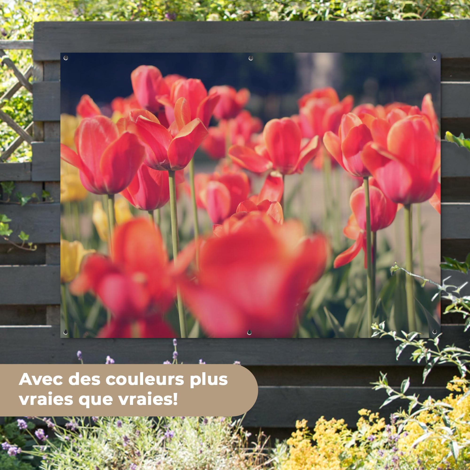 MuchoWow© Decoracion Jardin Exterior Decoración Pared Póster De Jardín | 160x120 cm - Balcón Wall Decoration Patio Posters Decorativos Terraza Tulipanes - Flores - Naturaleza