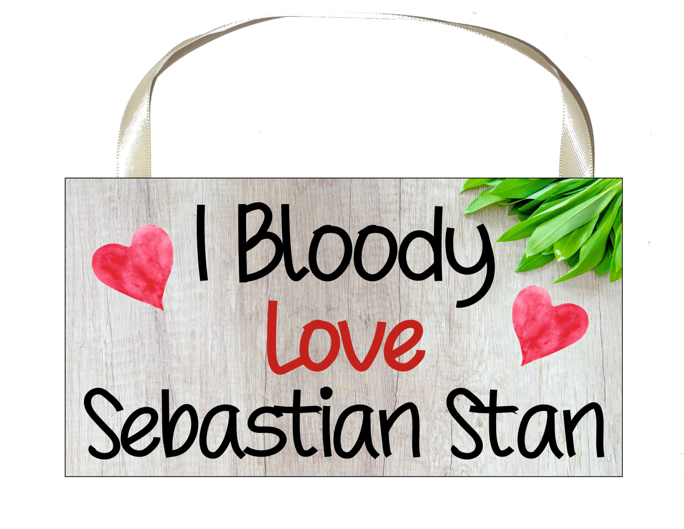 Decalarama Sebastian Stan Plaque Gift – I Bloody Love Sebastian Stan - Fun Birthday Novelty Present