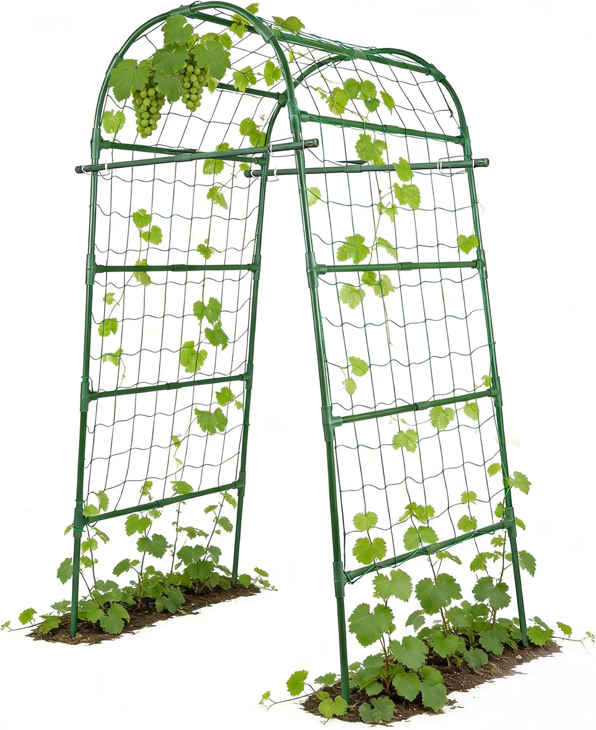 Garden Arch Trellis for Climbing Plants Outdoor, 7 Ft Tall Cucumber Trellis for Raised Bed, Metal Archway Arbor Trellis Support for Vegetables Beans Squash Peas Grape Vines Flowers