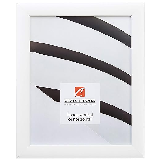 Craig Frames 23247812 16 x 20Inch Picture Frame, Smooth Finish, 1Inch