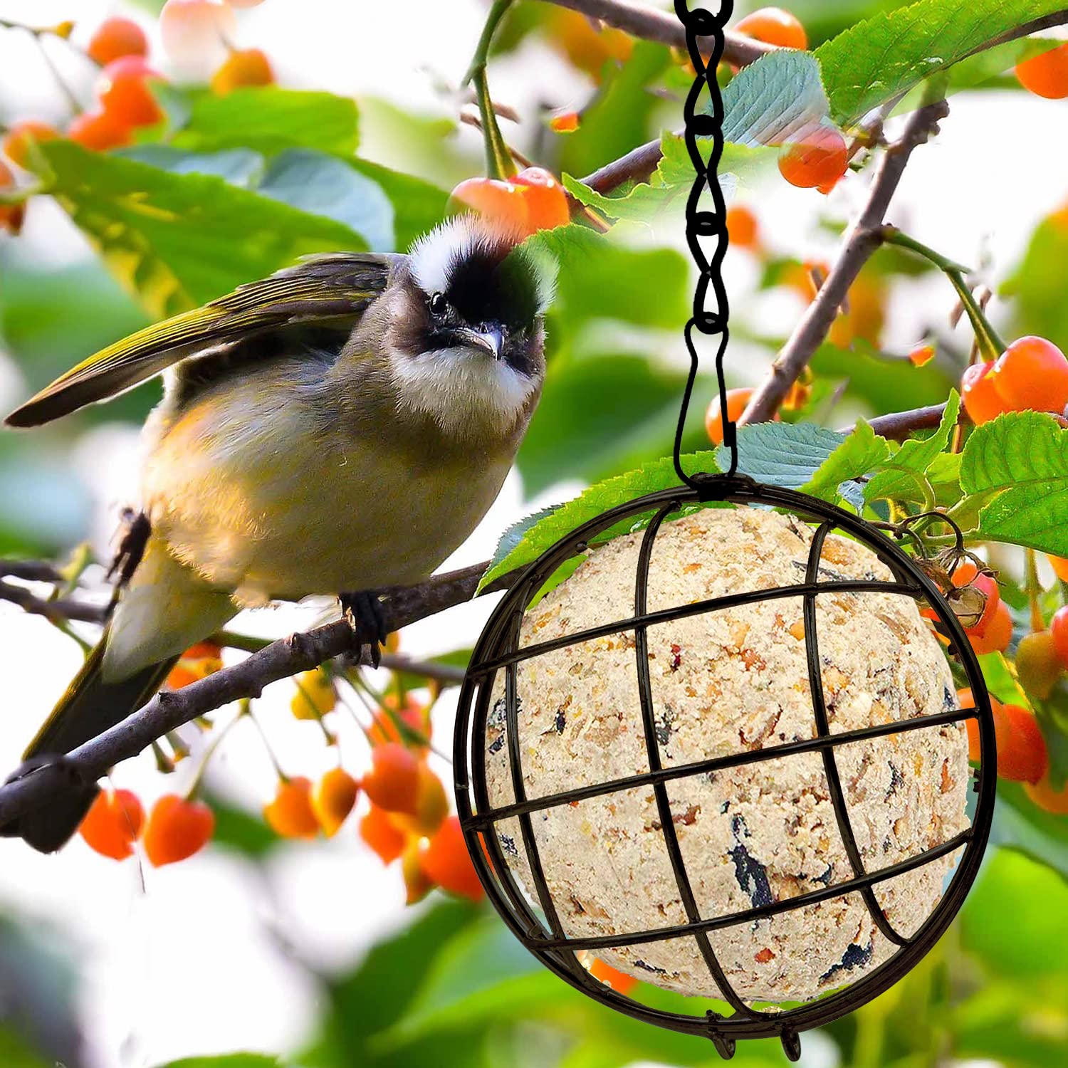 Mangeoire à Balle Gras, 4pcs 3,7x2,8 Pouces Métallique Fat