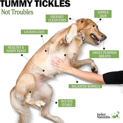 Miniatura 3 de Deley Naturals Probiotics Plus Chews para perros, suplemento de salud intestinal, 5 mil millones de UFC, enzimas digestivas, prebióticos, alergias a