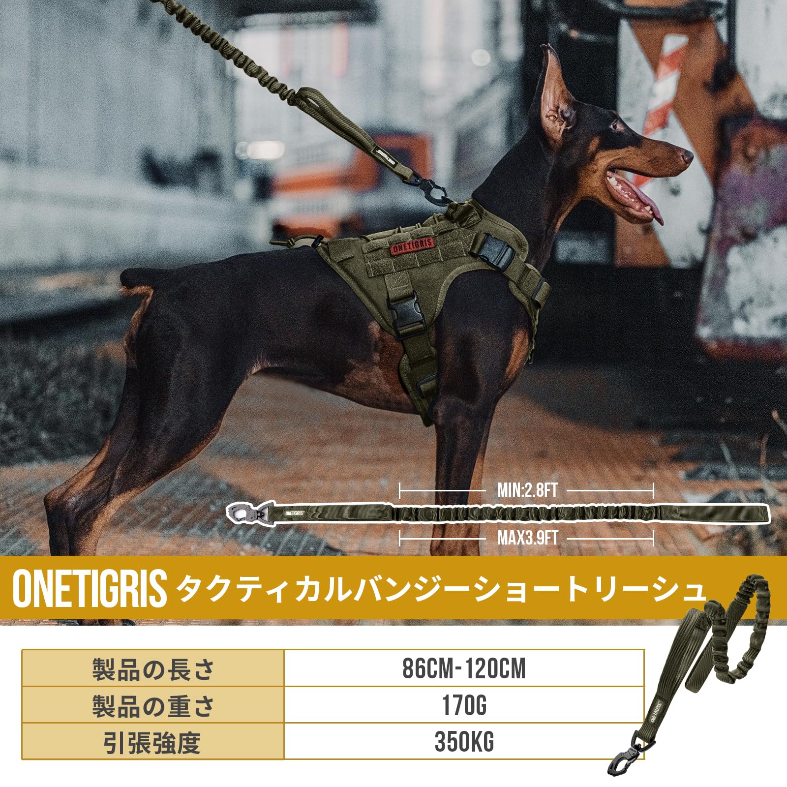 OneTigris Federbelastete Hundeleine 86 cm - 120 cm Führleine Nylon mit Tiger Zahn Metallclip und 2 Weiche Polsterung, Länge - Grün