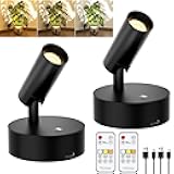GORDNWE LED Rechargeable Spotlight Indoor, Battery Operated Spot Lights with Remote Control & Timer, Small Dimmable Wireless Wall Lamp Accent Lighting for Pictures Plant Artwork Reading Black 2 Pack
