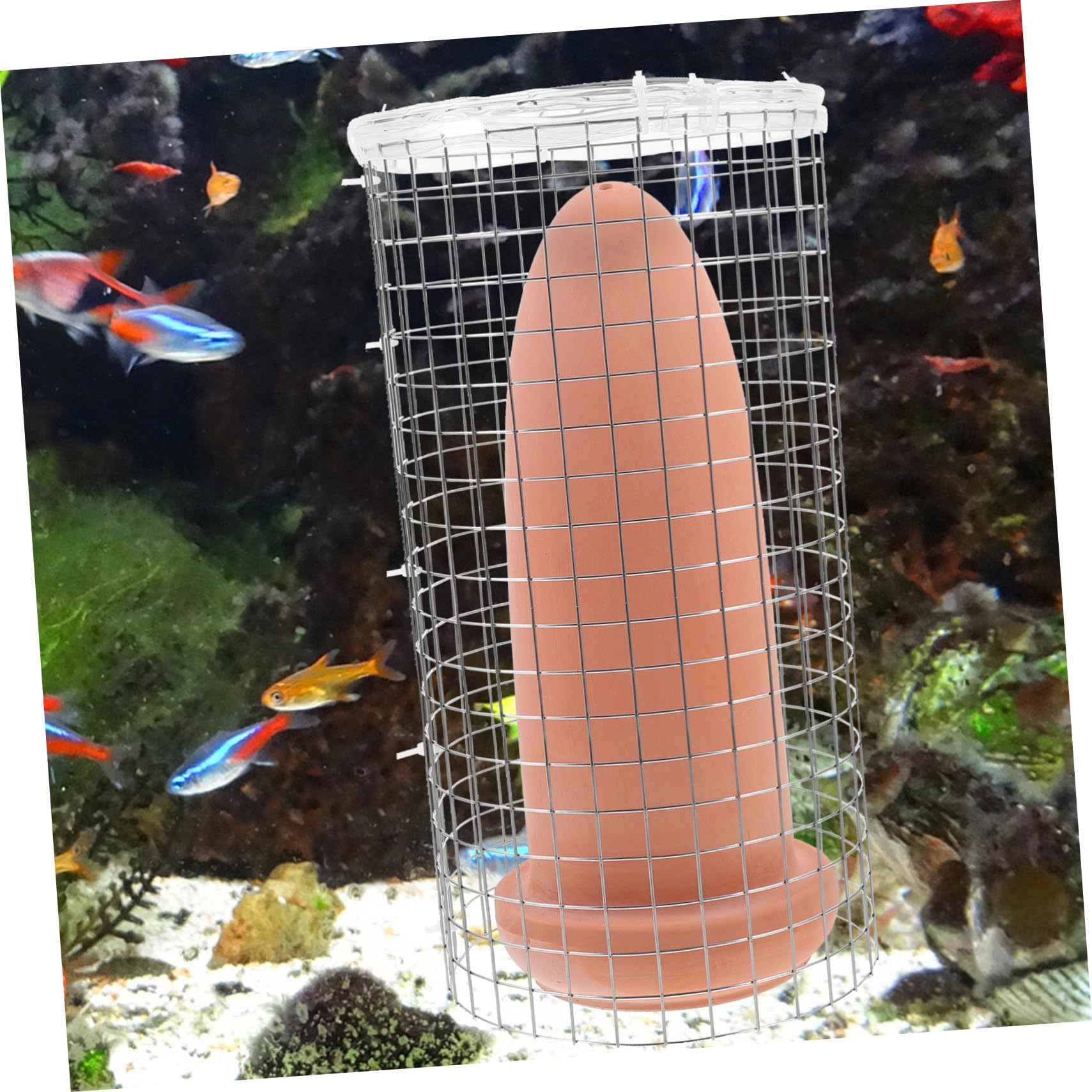 TEHAUX Cono de Cría para Peces Ángel y Camarones, Incubadora de Desove de Cerámica Grande Malla Separadora, Decoración de Peceras para Acuarios de Reproducción
